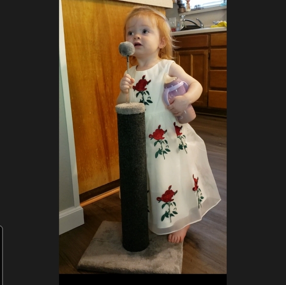 Tatyana Lil Bella Vintage FitnFlare Taffeta Dress w Red Embroidered Roses - Picture 1 of 5